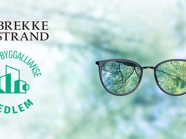 Grønn Byggallianse medlem rev